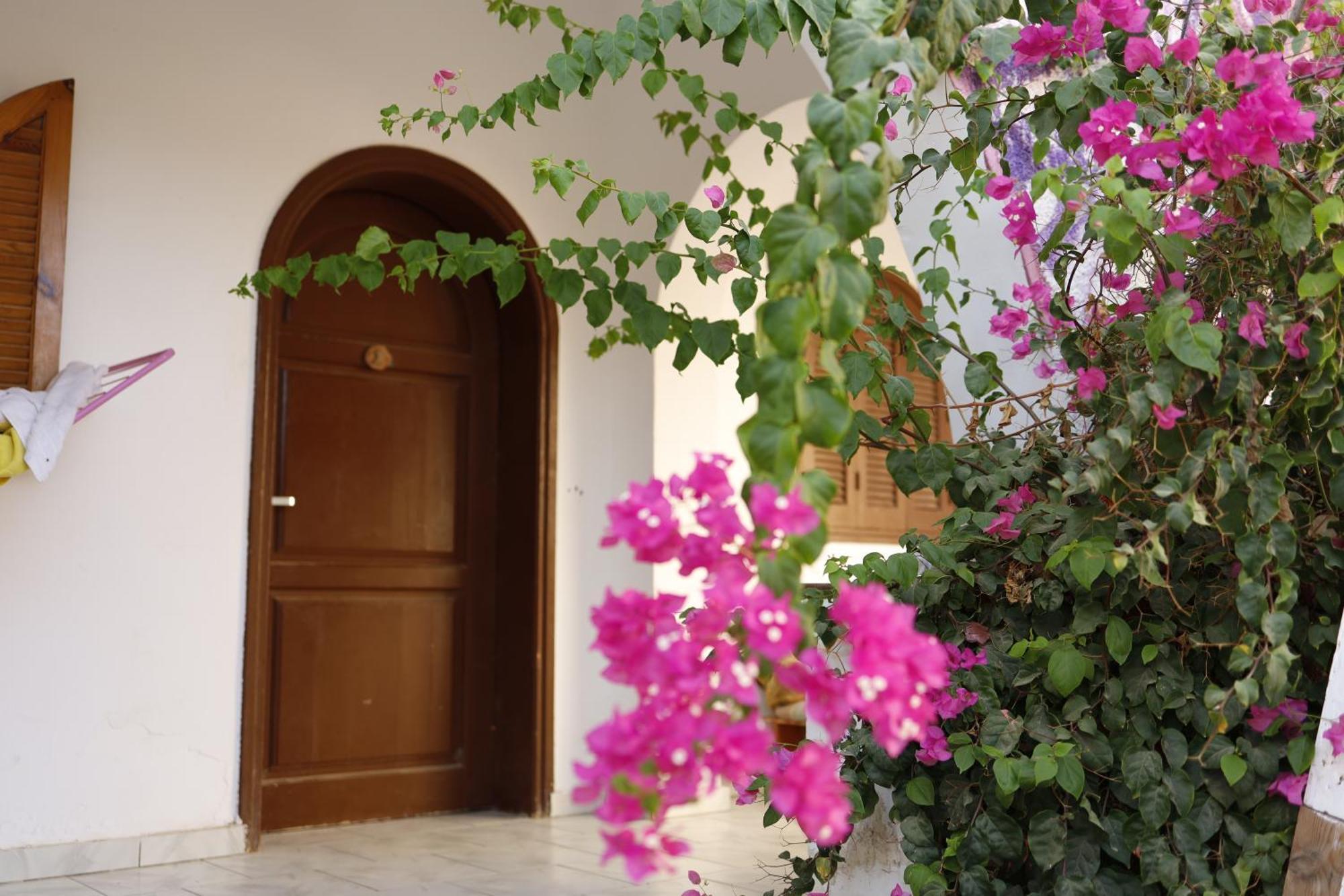 Nook Pansiyon Dahab Dış mekan fotoğraf