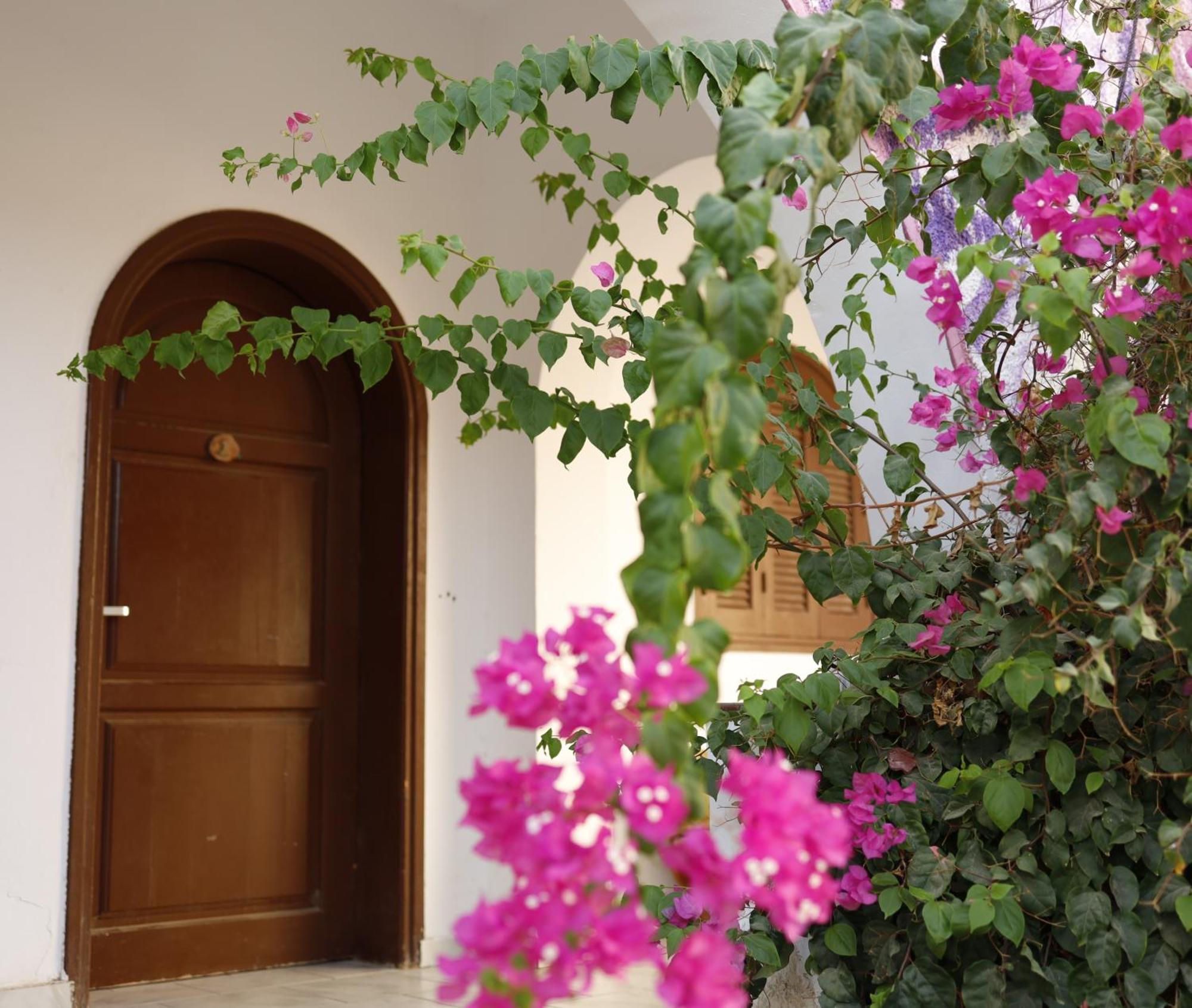 Nook Pansiyon Dahab Dış mekan fotoğraf